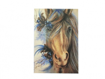 Картина по номерам арт. RAS20821 Лошадь 20*30 в кор.