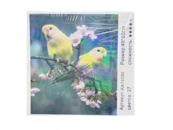 Картина по номерам арт. RA74090 Пара попугаев 40*50 в кор.