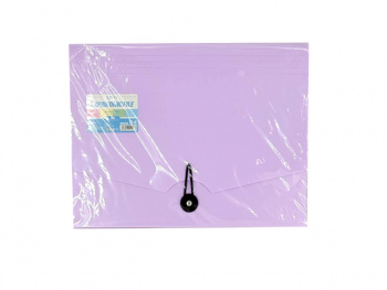 кц_Папка для тетрадей арт. YL223319 Гармошка На кнопке-резинке А4 пастельные цвета микс