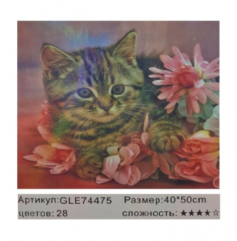 Алмазная мозаика арт. GLE74475 Серый котенок 40*50 полная выкладка на подрамнике Алмазная мозаика арт. GLE74475 Серый котенок 40*50 полная выкладка на подрамнике